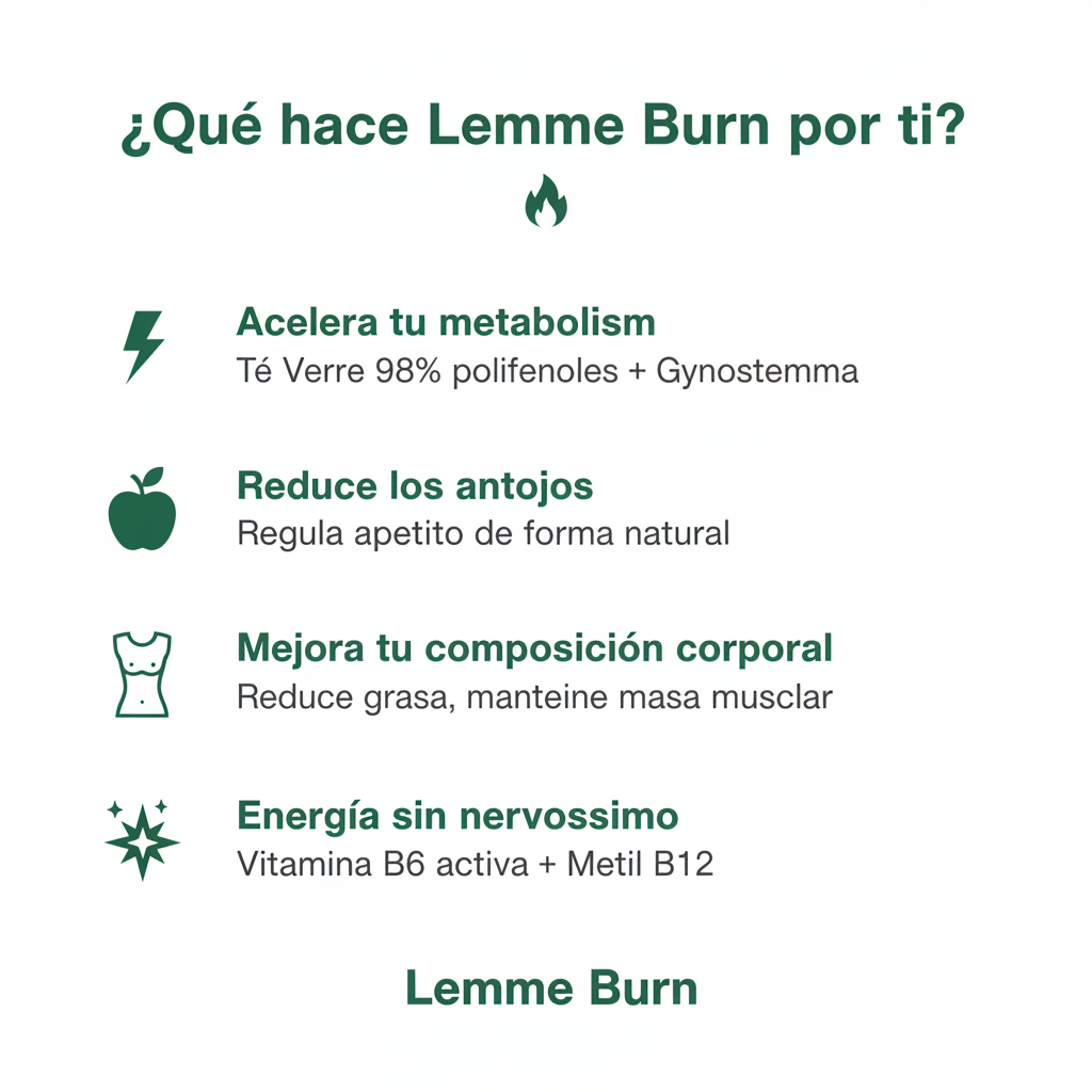 Infografía de Beneficios Lemme Burn