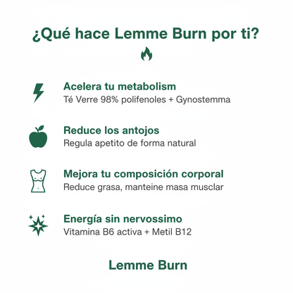 Infografía de Beneficios Lemme Burn