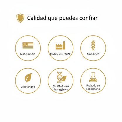 Infografía de Certificaciones Lemme Burn - Dorado